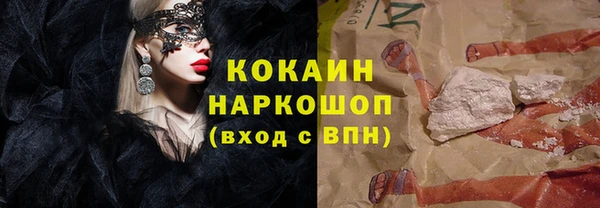 прущие грибы Переславль-Залесский