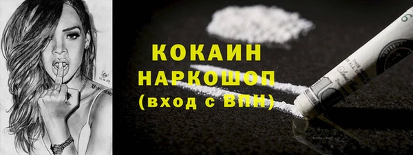 прущие грибы Переславль-Залесский