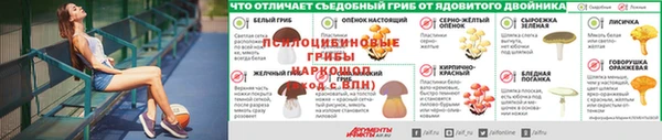 2c-b Пестово