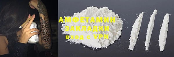 прущие грибы Переславль-Залесский