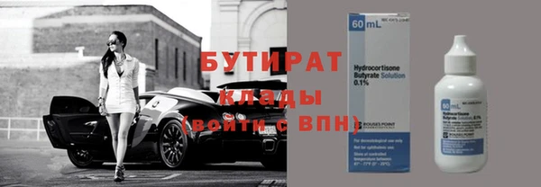 прущие грибы Переславль-Залесский