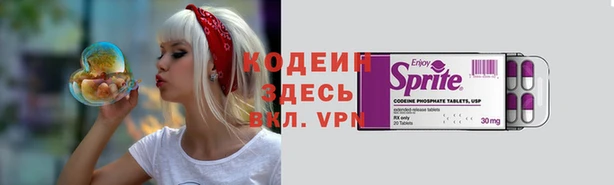 прущие грибы Переславль-Залесский