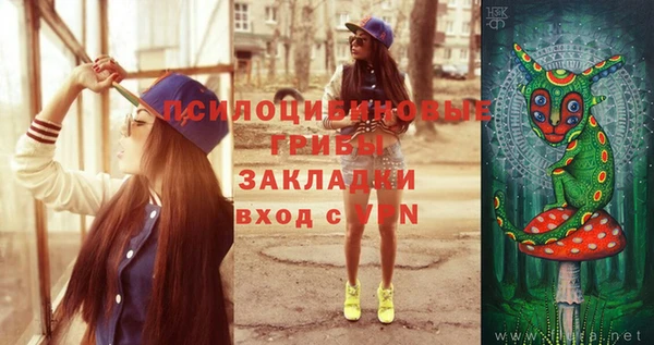 прущие грибы Переславль-Залесский
