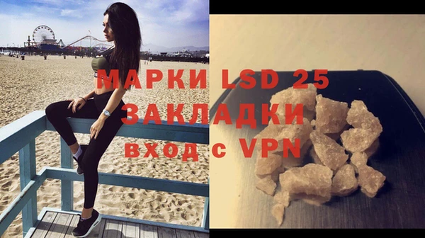 прущие грибы Переславль-Залесский