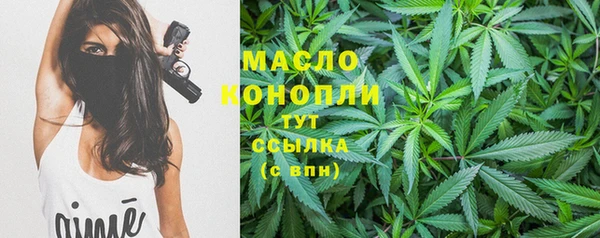крисы Баксан