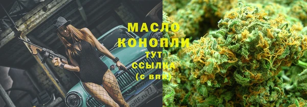 2c-b Пестово