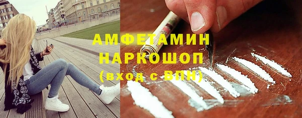 прущие грибы Переславль-Залесский