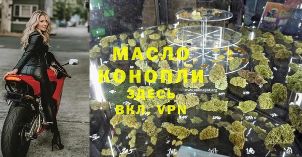 прущие грибы Переславль-Залесский