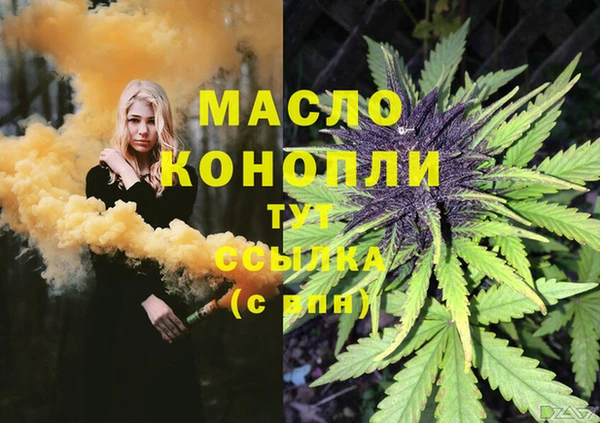 прущие грибы Переславль-Залесский