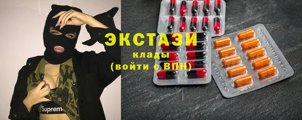 2c-b Пестово