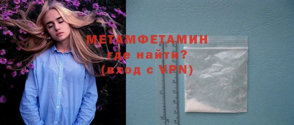 прущие грибы Переславль-Залесский
