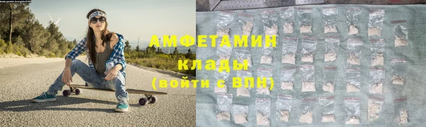 шишки Сосновоборск
