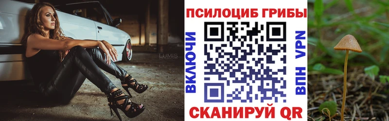 hydra вход  Серафимович  Псилоцибиновые грибы MAGIC MUSHROOMS 